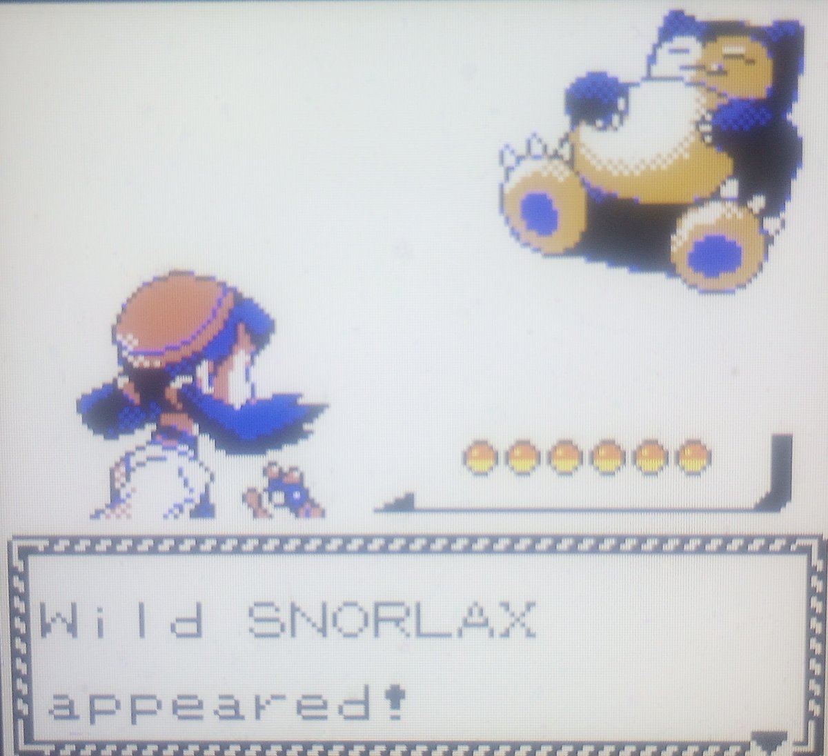 ShinyHunterRaikou tweet media