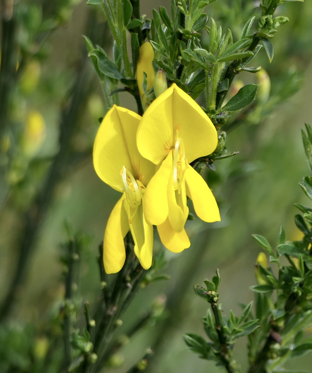 Mike Robinson tweet media