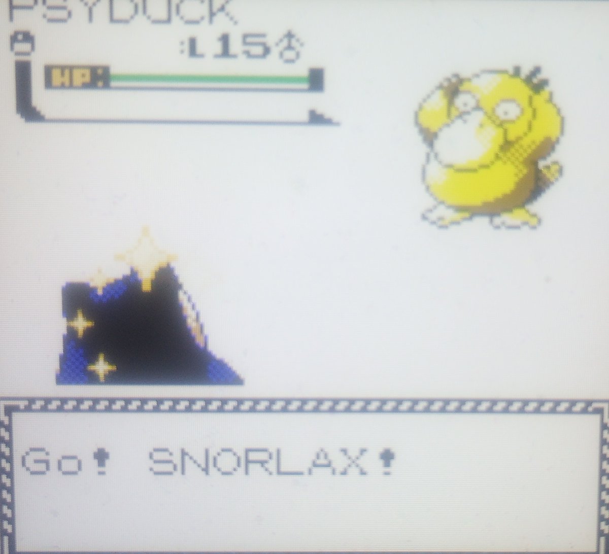 ShinyHunterRaikou tweet media