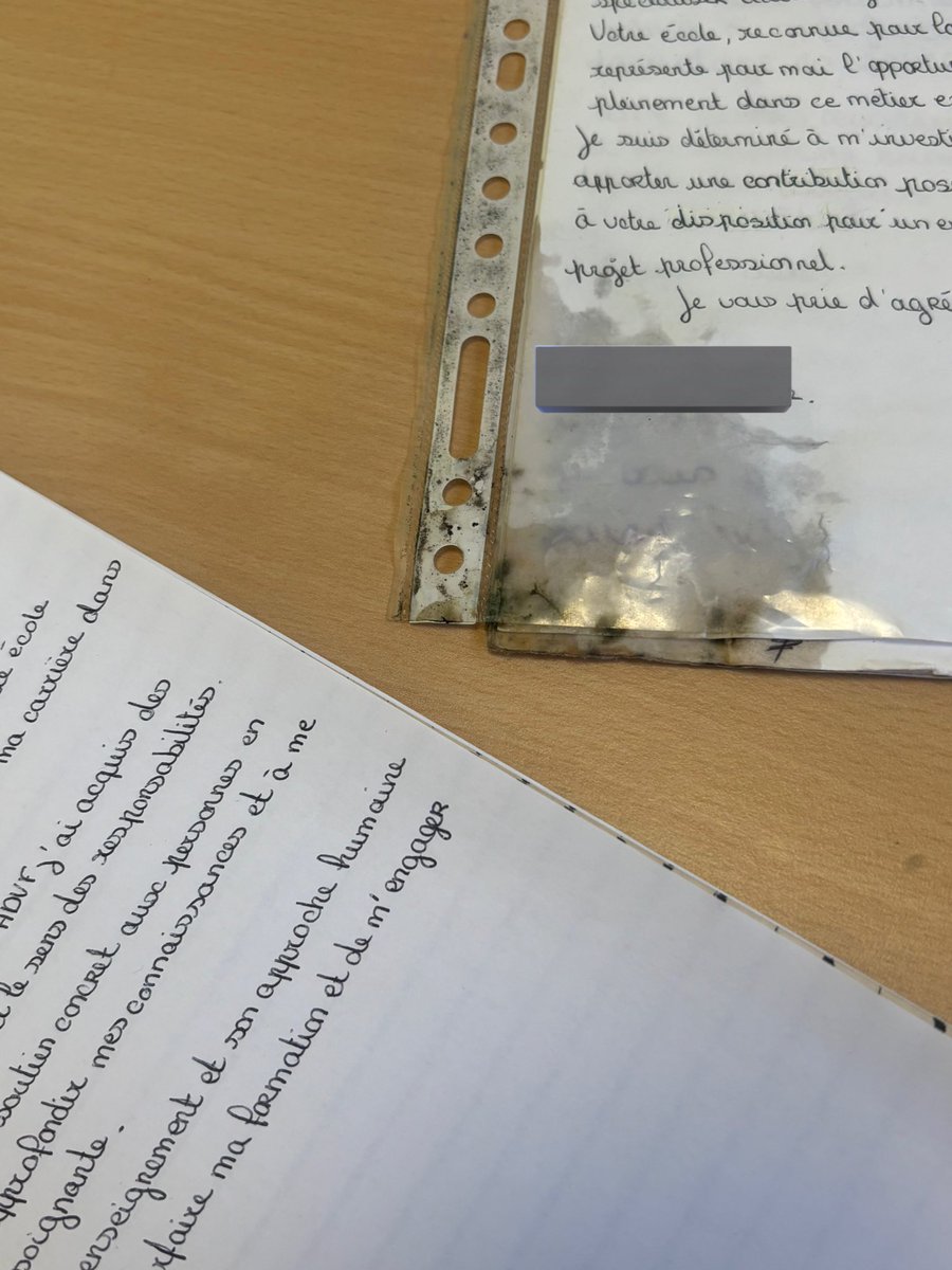 tu écris un bête de truc regarde comment ils le ramène ces chiens