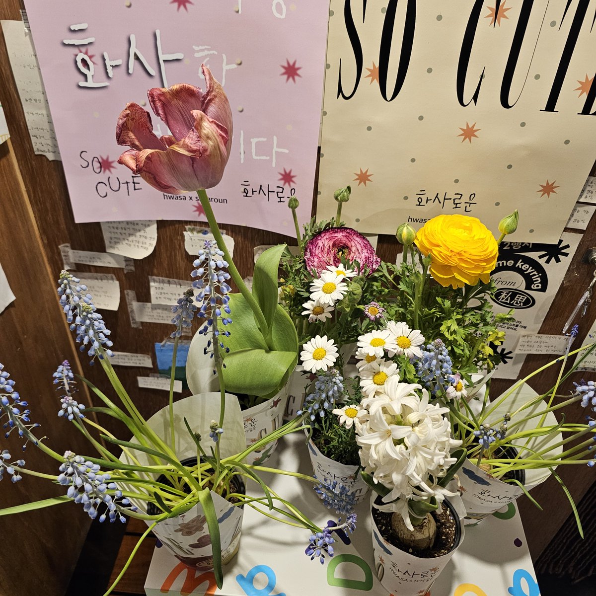 화약🌹 tweet media