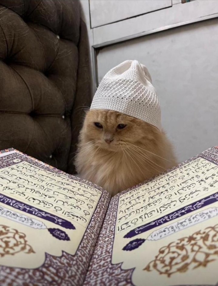 KSmartt.eth tweet media