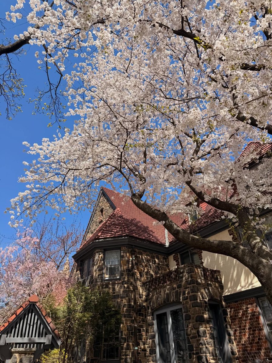 화수은화 tweet media