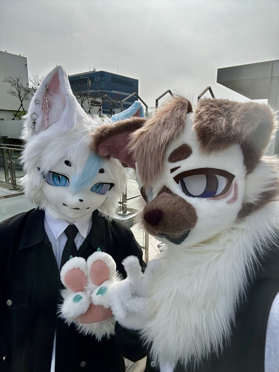 TUNA🐶🐟 tweet media
