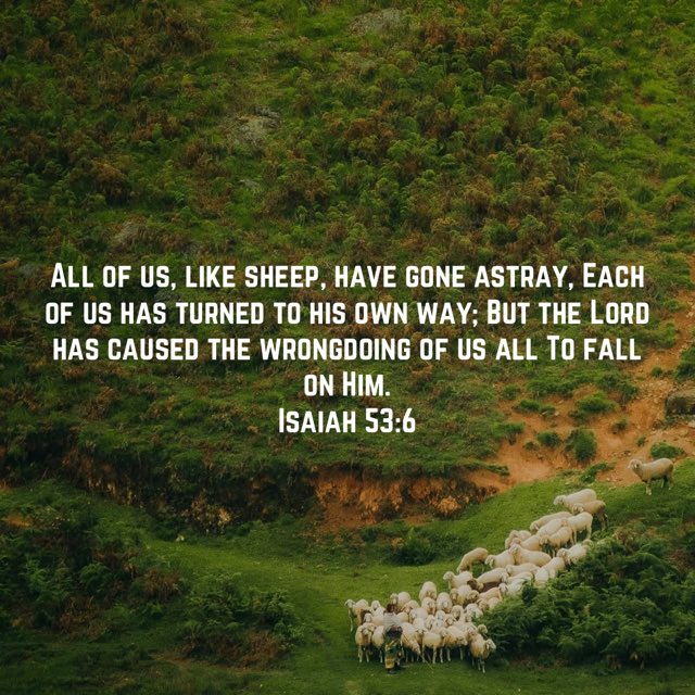 Caroline Doyle (@caroline63d) on Twitter photo 