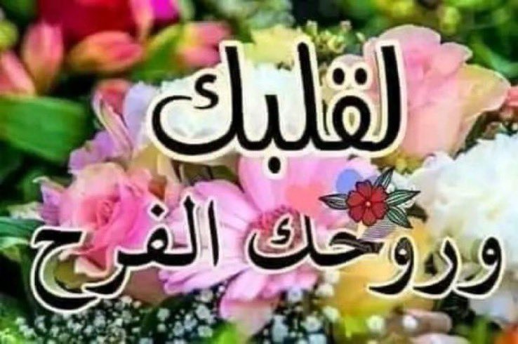 الغنيم عادل tweet media