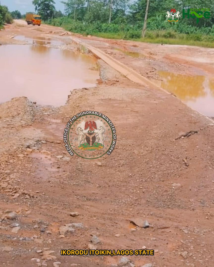 TallJohn🌍 tweet media