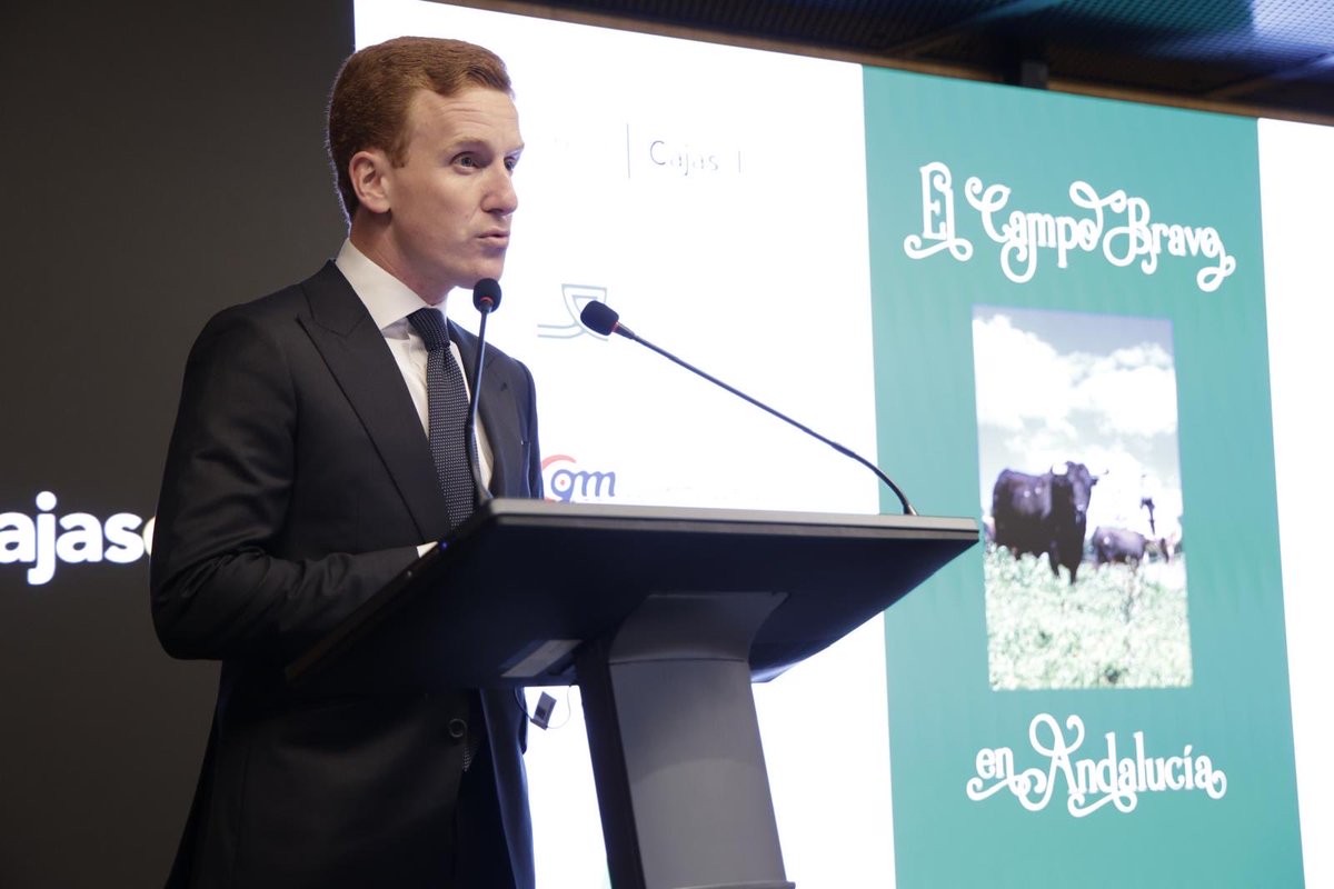 Jesús Bayort tweet media