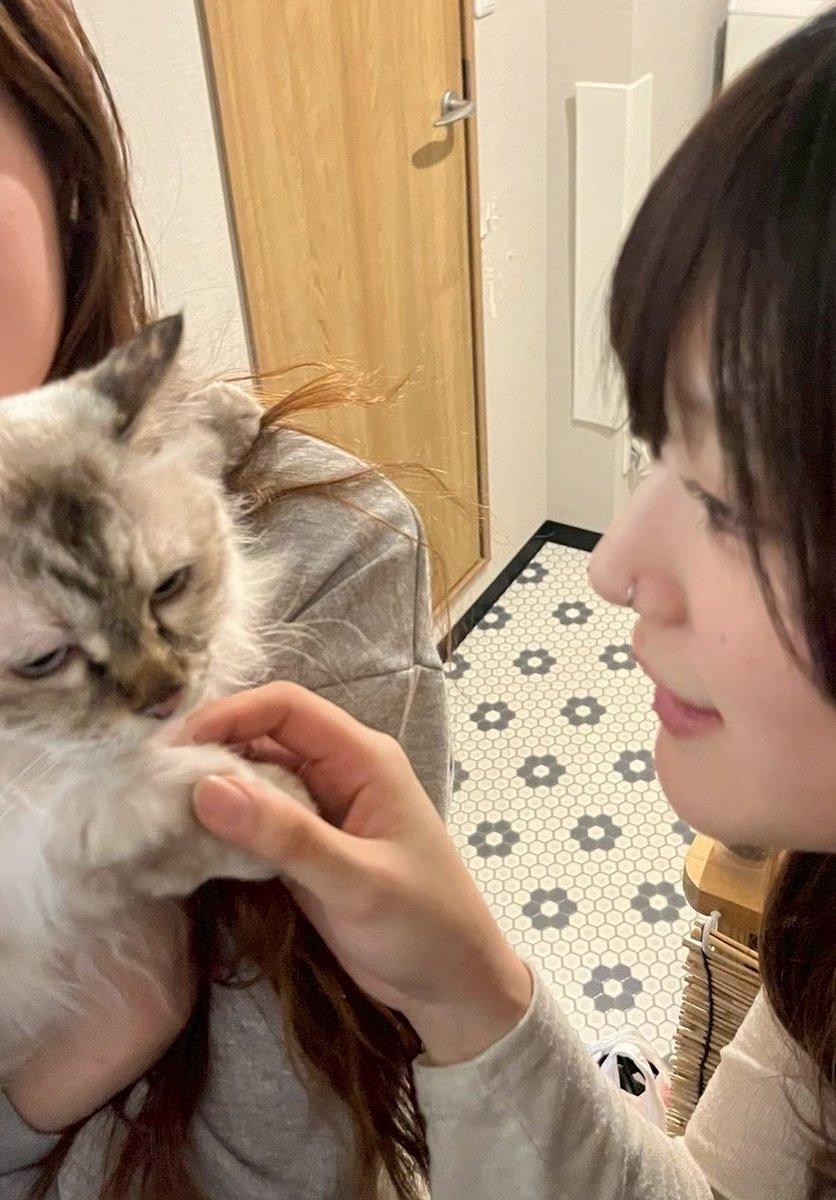xa__erc's tweet photo. 猫アレルギー忘れてました
キューアグ起きました https://t.co/6kBlIRHCsZ