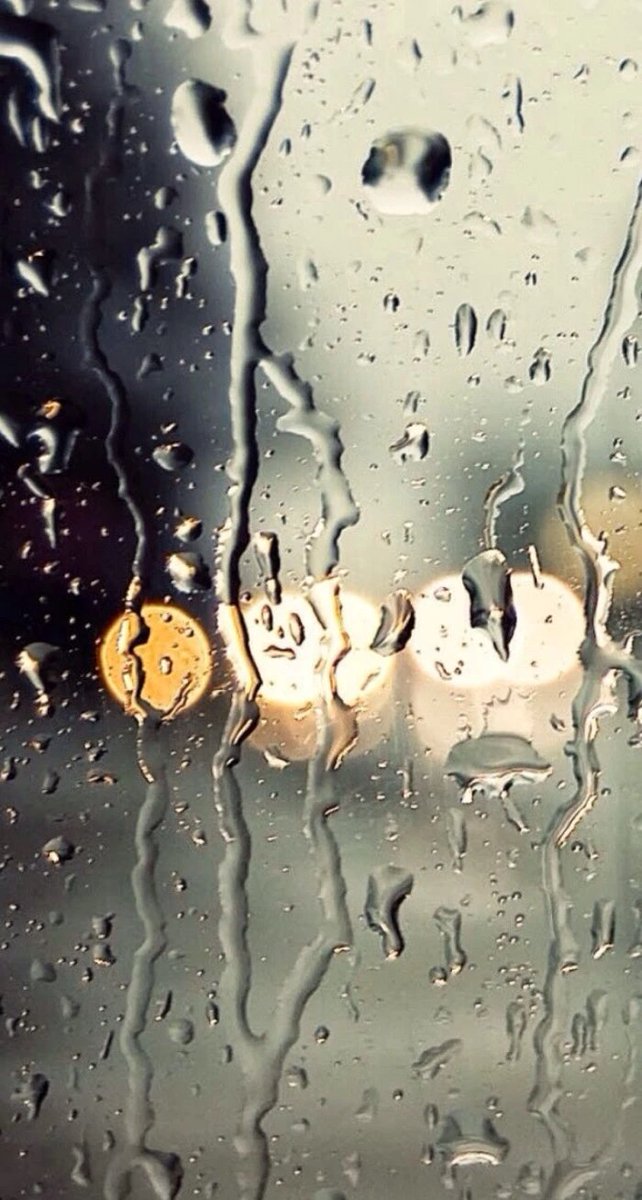 Hazem Mostafa tweet media