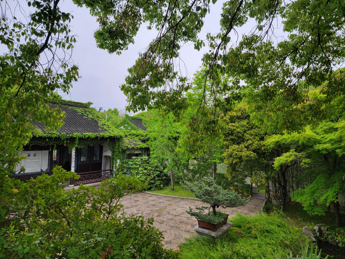 HHQLZ_999 tweet media