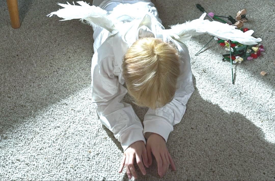 7th year: aki ˚₊·—̳͟͞͞𖤐 tweet media