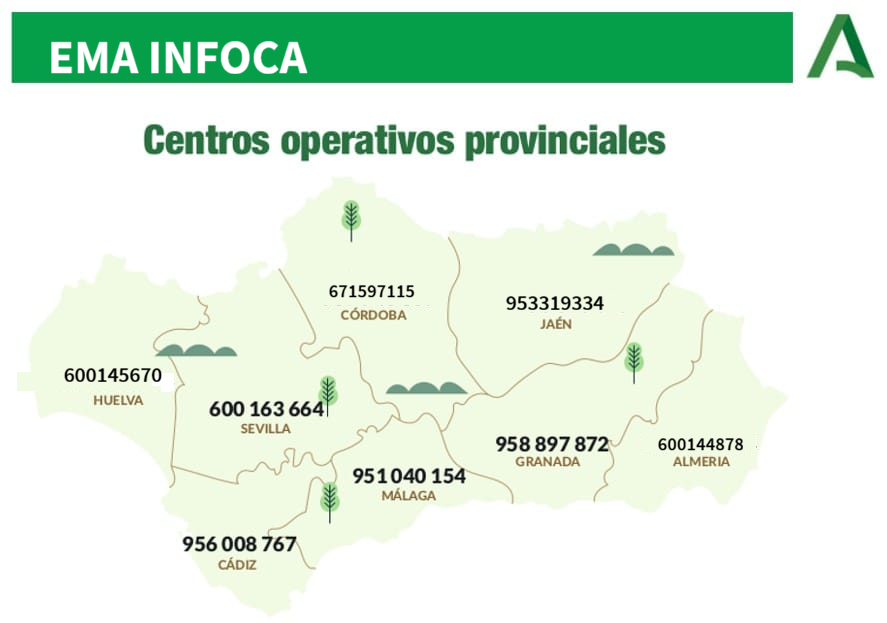 EMA INFOCA tweet media