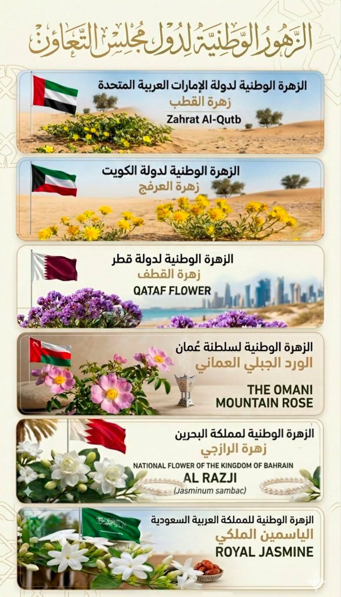 مظفر عبدالله راشد tweet media