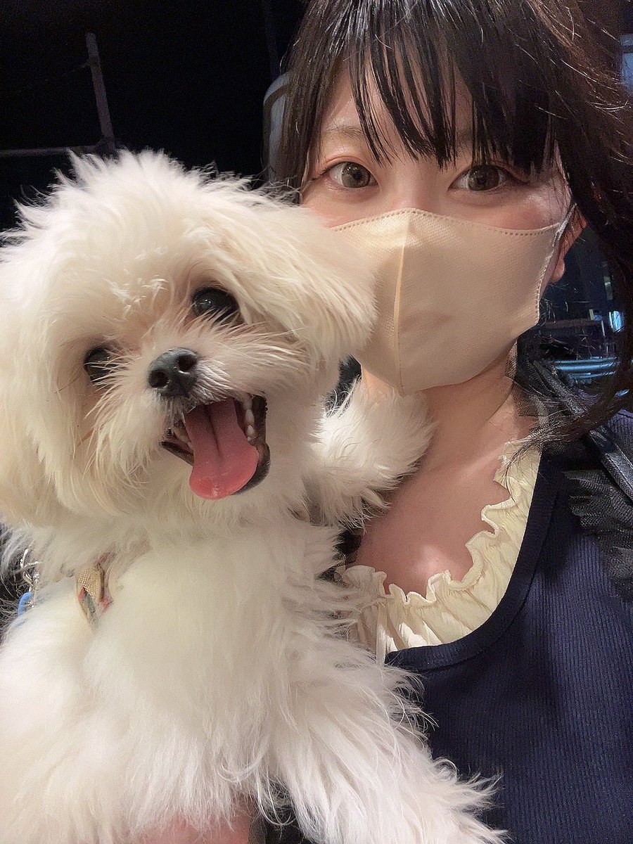 まゆまゆ (@mayu__mj) / Posts / X