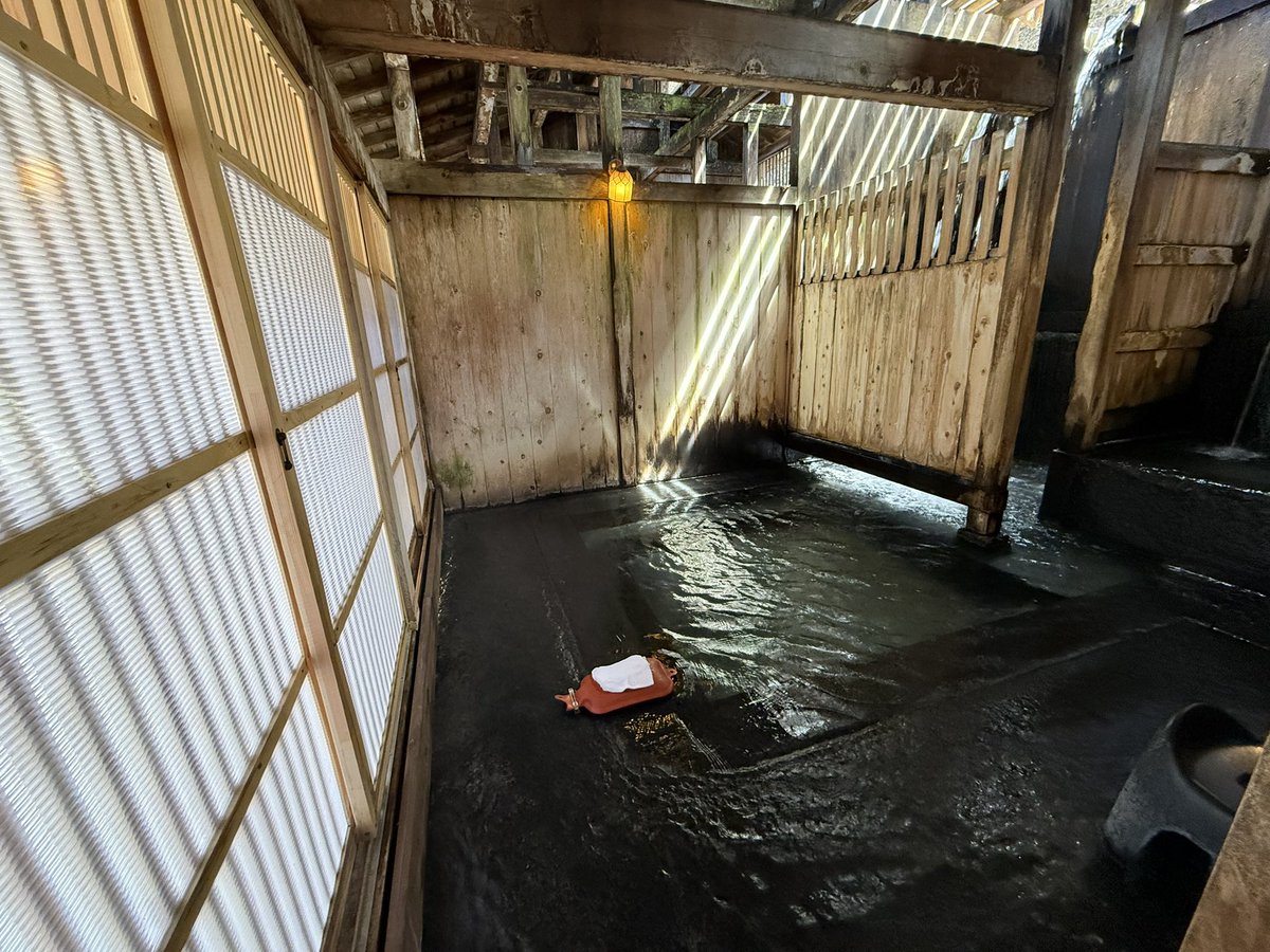 裸族博 tweet media