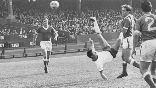 ויקיפועל - האנציקלופדיה האדומה tweet media