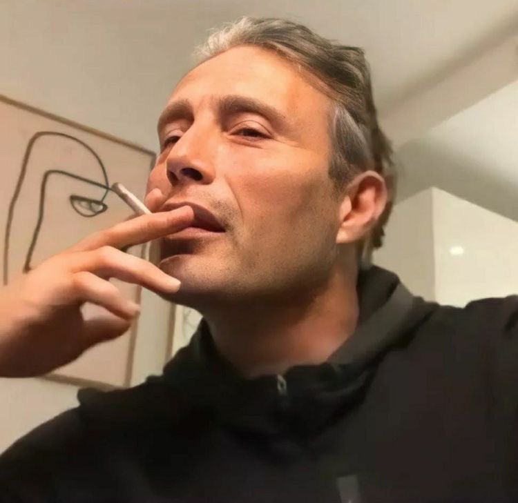 rosi ⋆.𐙚 ̊ tweet media