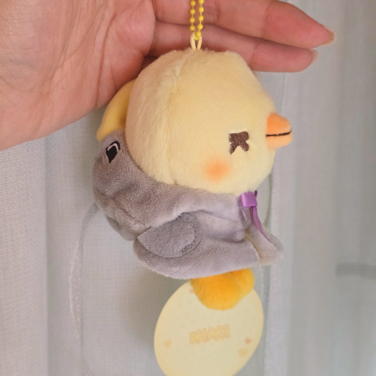 BUUUY🤯 tweet media