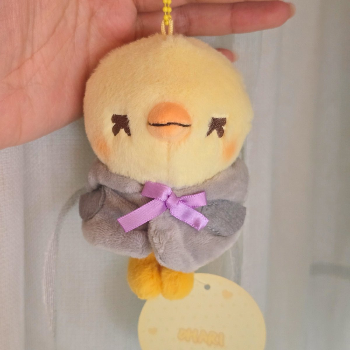 BUUUY🤯 tweet media