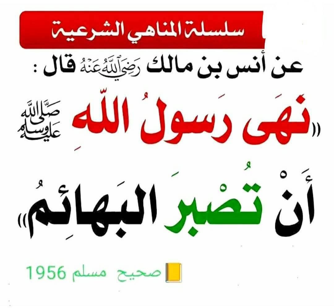 الكتابُ والسُّنة tweet media