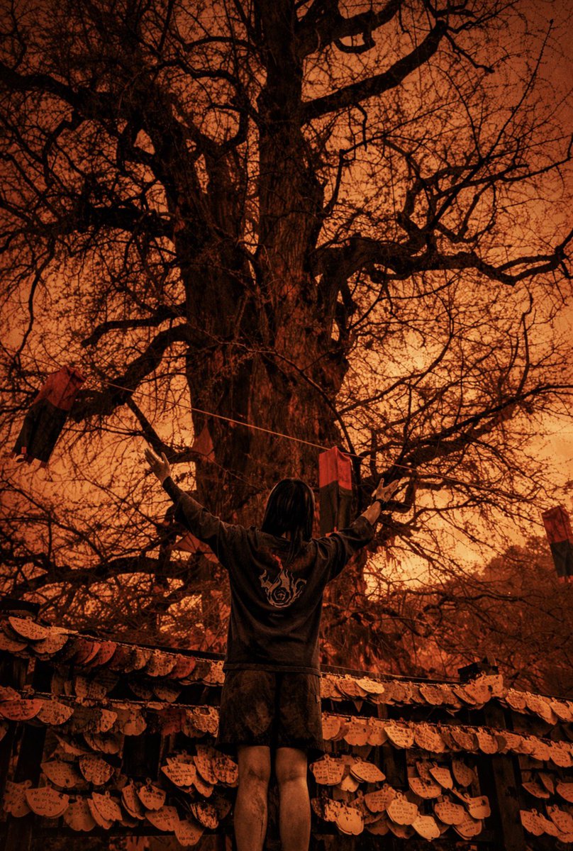 叫號_Official tweet media