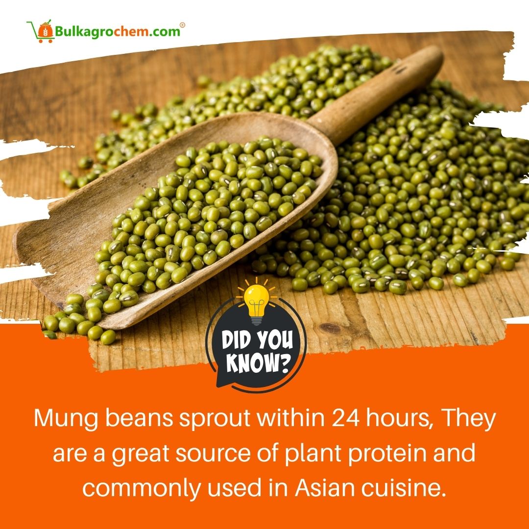 Bulkagrochm's tweet image. Expand your agri-knowledge with our fascinating facts! 🌱🌿
.
.
.
.
#Agriculture #BioFertilizer #Fertilizer #BioPesticides #Kisan #Kheti #didyouknowfacts