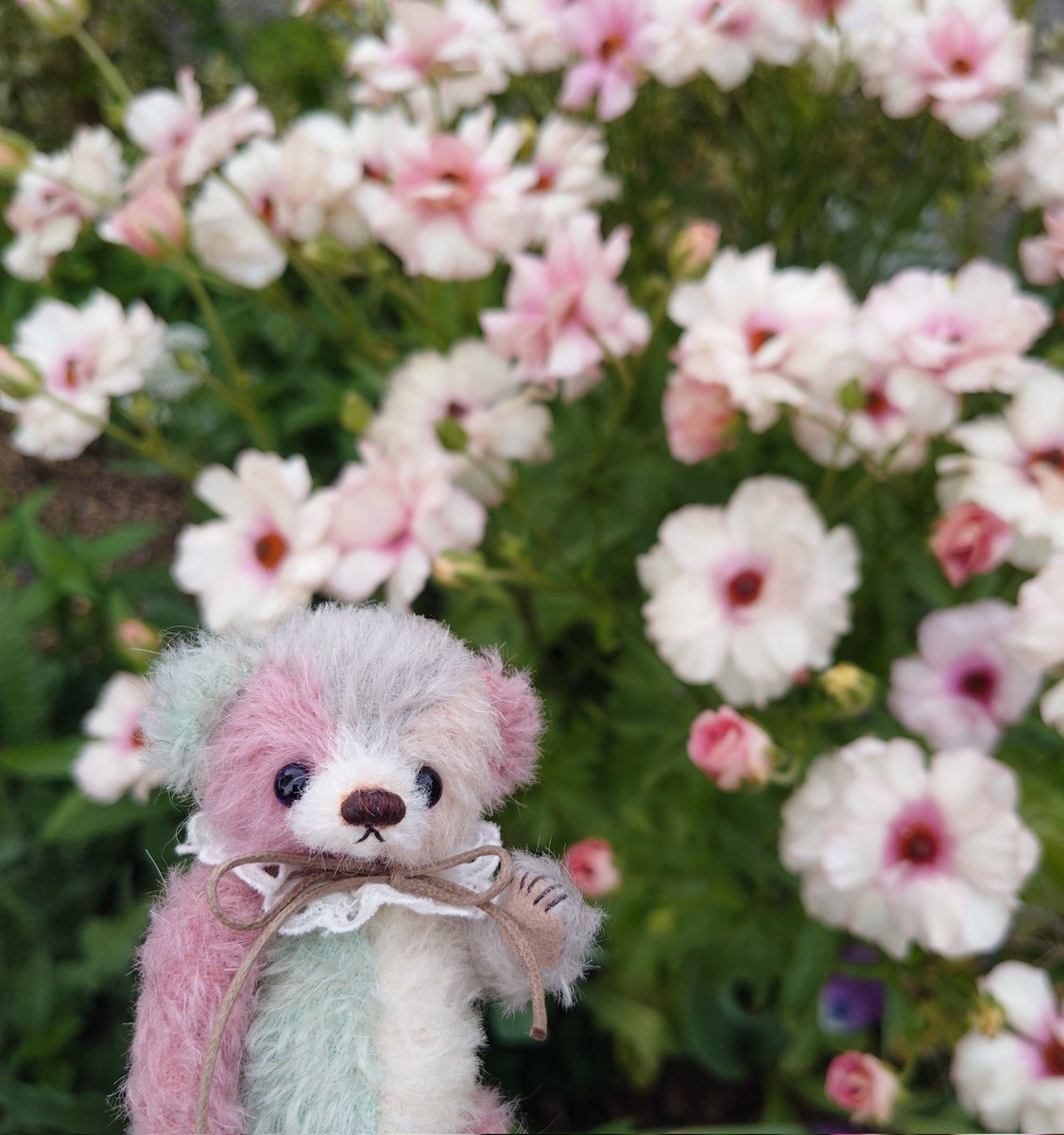Yoshimi.Bear☆🧸 (@YoshimiBear_) / Posts / X