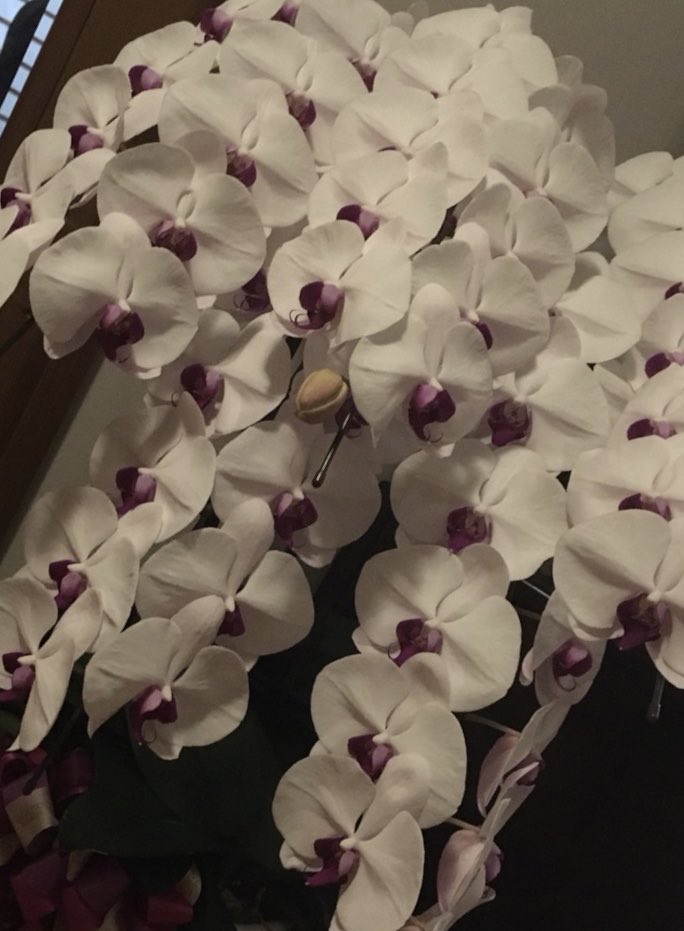 Merin09252018's tweet photo. 私の
闘病突破完治途上以下不可欠なんだ
①幼少期からの
両親の教育学び得た根性
②主人の無条件の寄り添い
③退院直後からの自費リハビリ継続
自分が信じた選択肢
せめて
寄り添って下さった方に貢献したい…
更に必要な方に負けないで！届けたい！これが現在の私の生き方なんだ https://t.co/hv7gtHrKnI