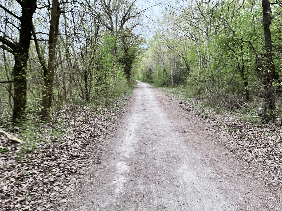 merlindragonz's tweet image. #keeprunning #marathontraining #raceweek #trail #lobau #vienna #earlyrunner