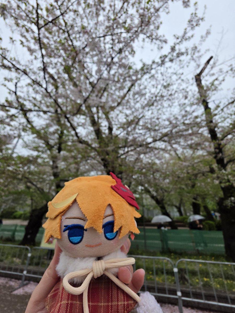 mich 🐳🍊 tweet media