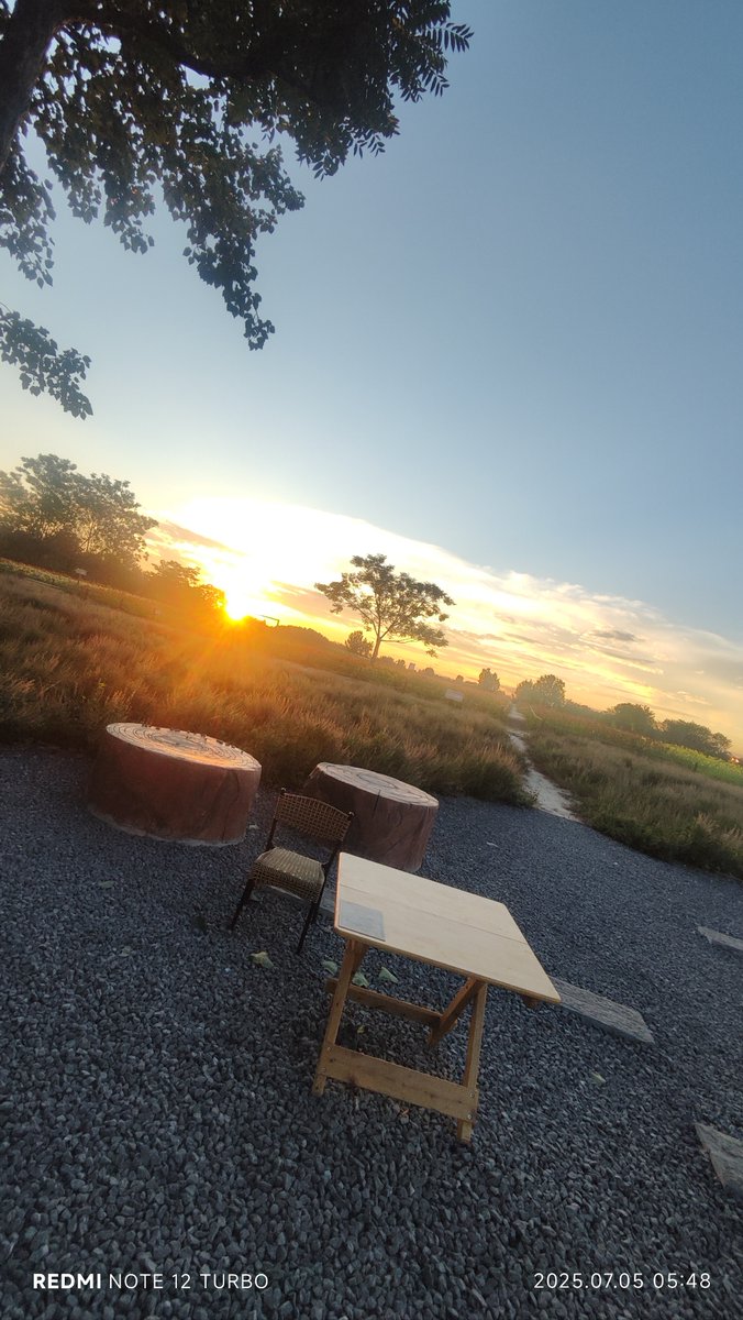 Ali Ahmed tweet media