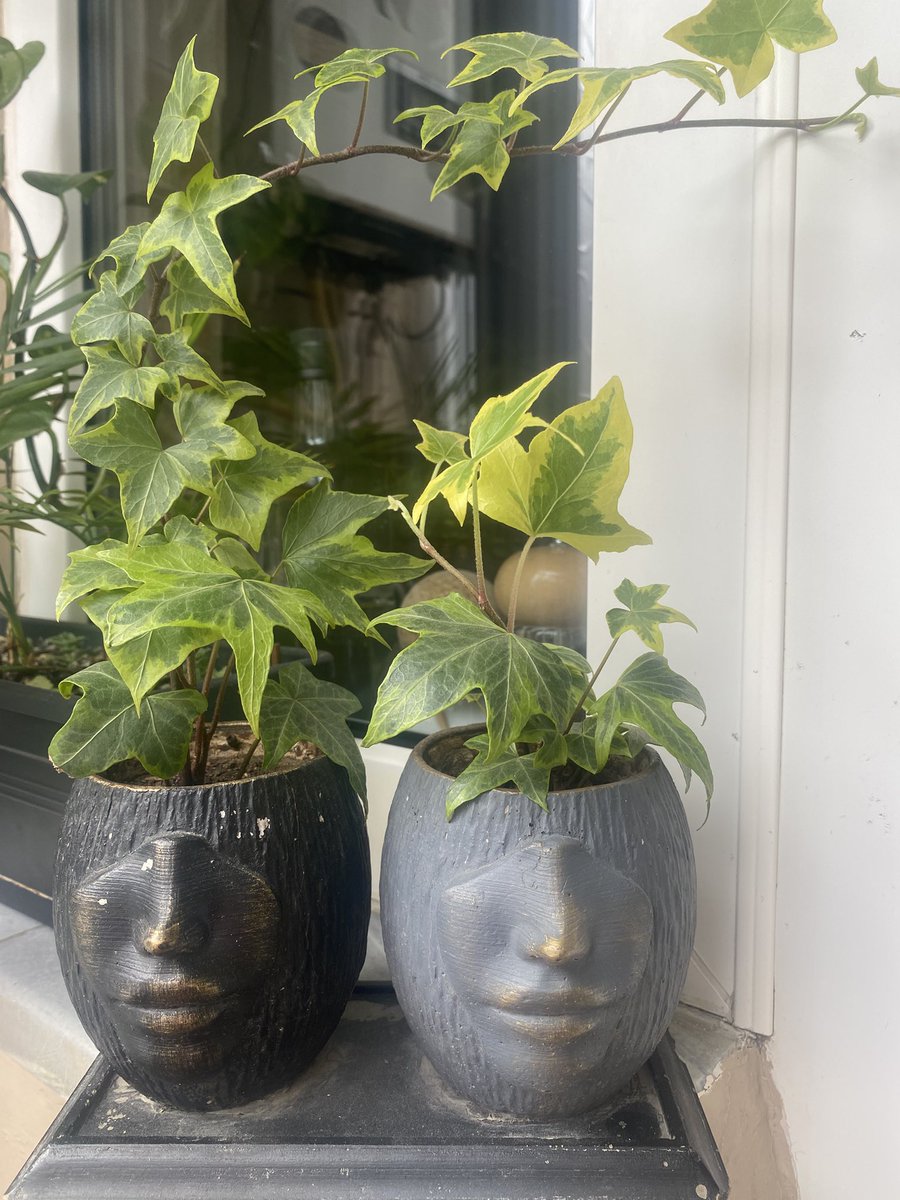 Japon atasözü şöyle der:  
"İster bir makine, ister bir ev, ister bir ilişki olsun... Bakım her zaman onarımdan daha ucuzdur." Bakmadığınız şeyi sonunda kaybedersiniz.