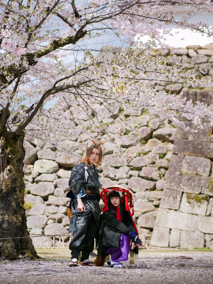 古澤心 tweet media