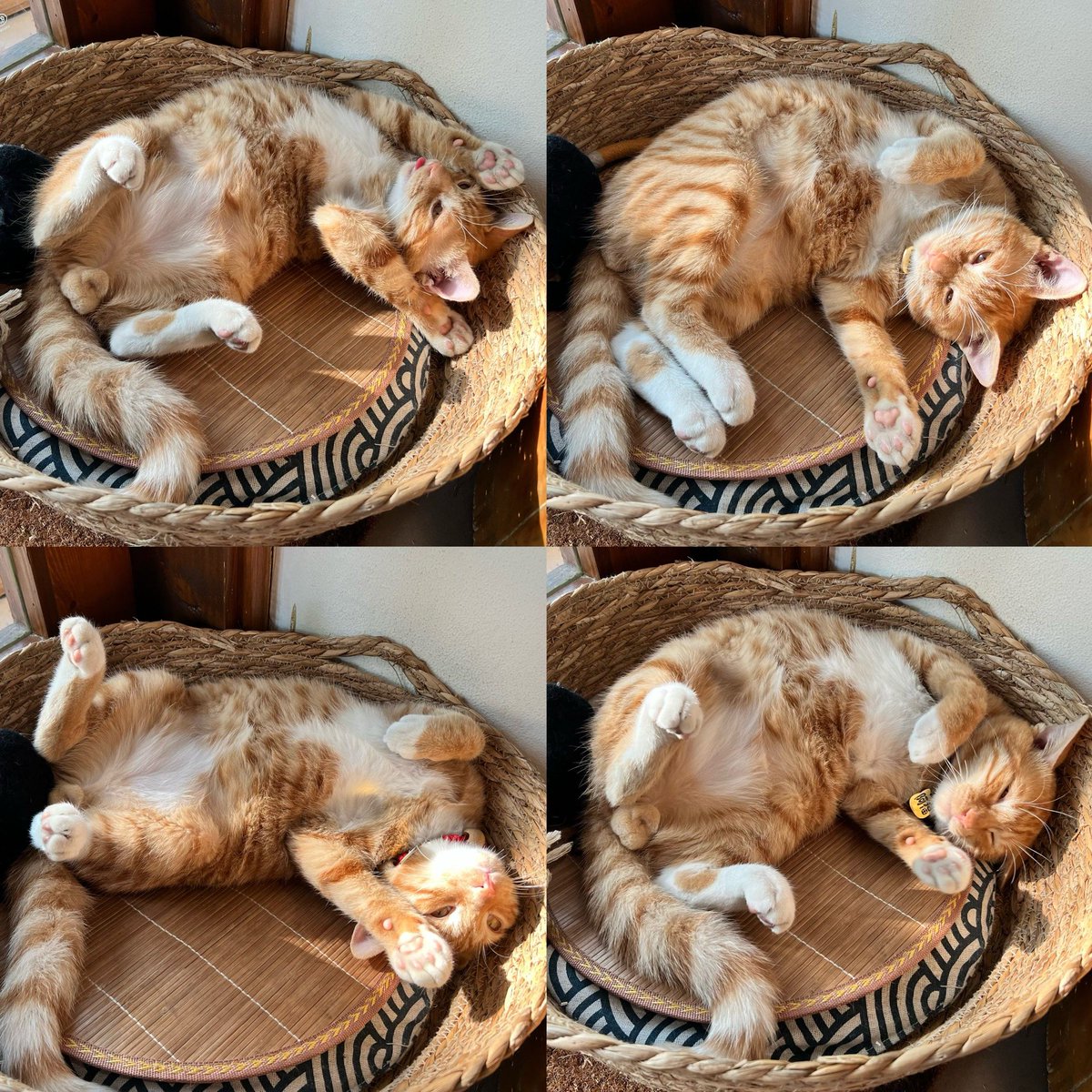 Ricky Baker tweet media