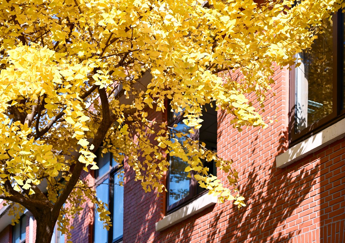 Fauziah Bt Ajamain tweet media