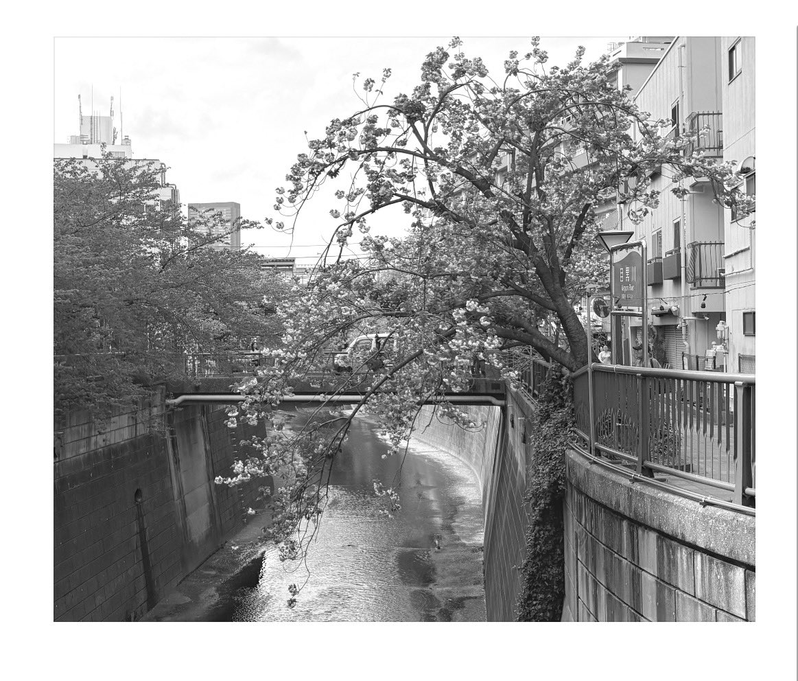 Ryunosuke (@natume142929) on Twitter photo 