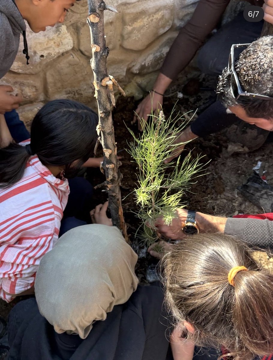 Kovanlisamsung's tweet photo. 🌲Öğretmenimiz Sn.Zeynep Uluğ ve Müdür yardımcımız Sn. Sadettin Cevheroğlu öğrencilerle sosyal sorumluluk projesi kapsamında fidan dikimi gerçekleştirdiler. 
🌲Fidanlarımız geleceğe nefes olacaktır…

@mardinilmem
@ali_eyyupkoca 
@SuleymnAKIN 
@makdag47
@derikmem47 
@klcengiz https://t.co/KNDL5XpzGL