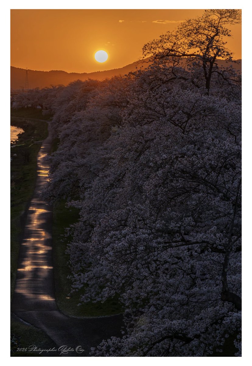 ArtBridge8 tweet media