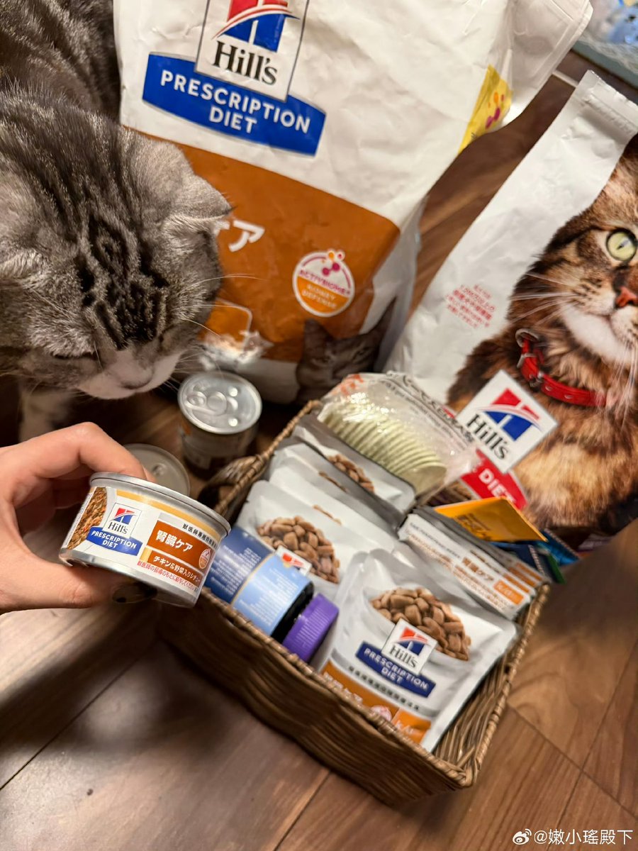 嫩小瑶的极乐净土 tweet media