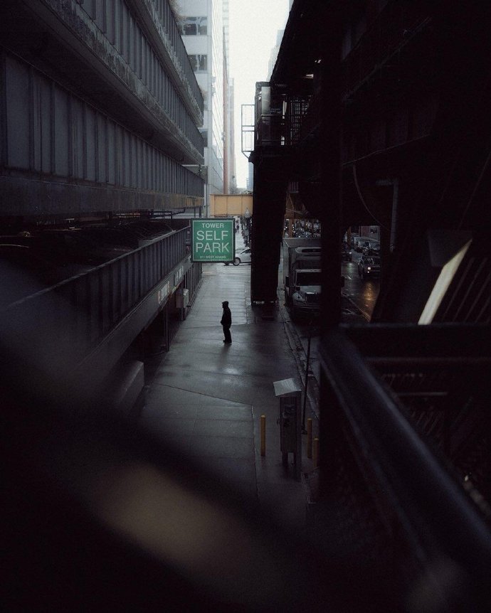 stephanie sauseda tweet media