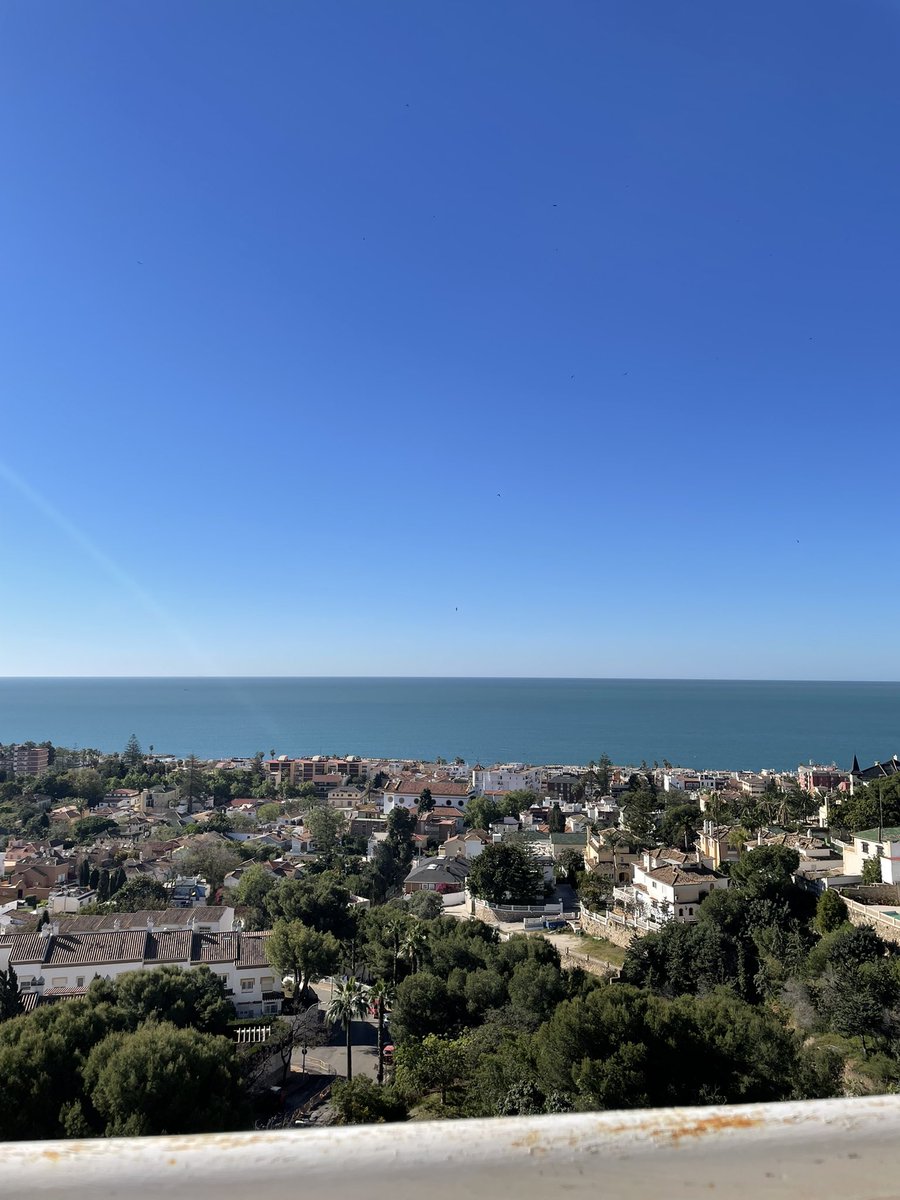 예슬이 tweet media