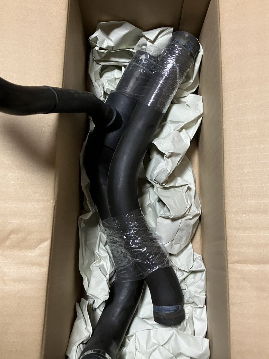 ぺぱ【外伝】 tweet media