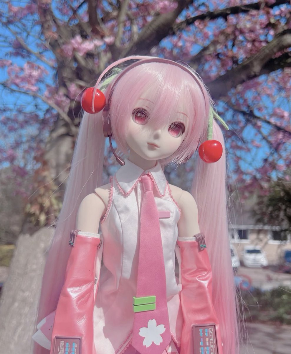 Bun @ マジカルミライ2026‧˚₊⊹ tweet media