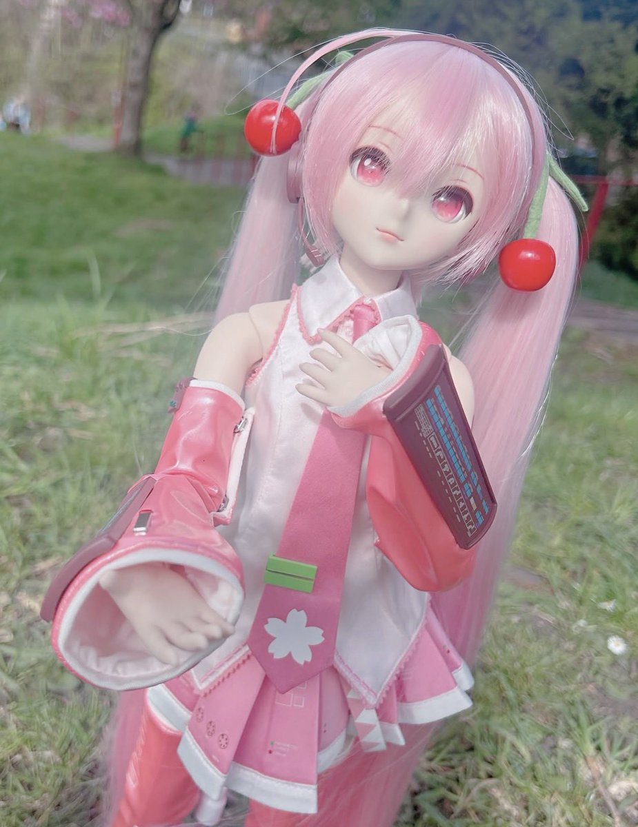 Bun @ マジカルミライ2026‧˚₊⊹ tweet media