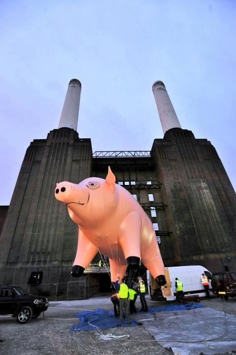 Pink Floyd 💎 (@just_pinkfloyd) on Twitter photo 