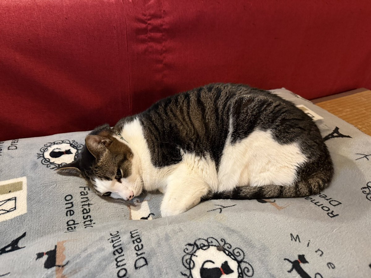 裸族博 tweet media