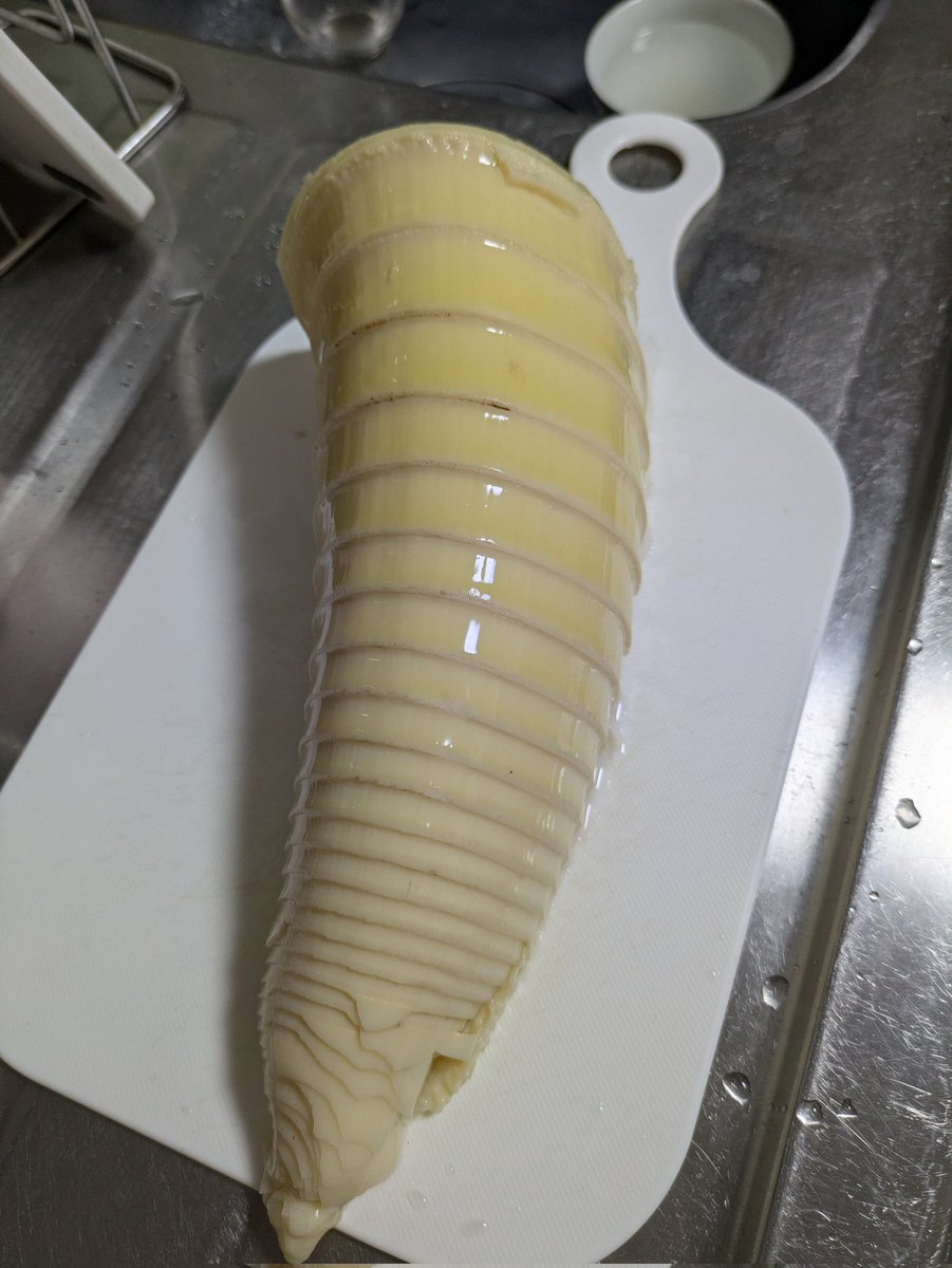 頂き物のタケノコ。でかい。