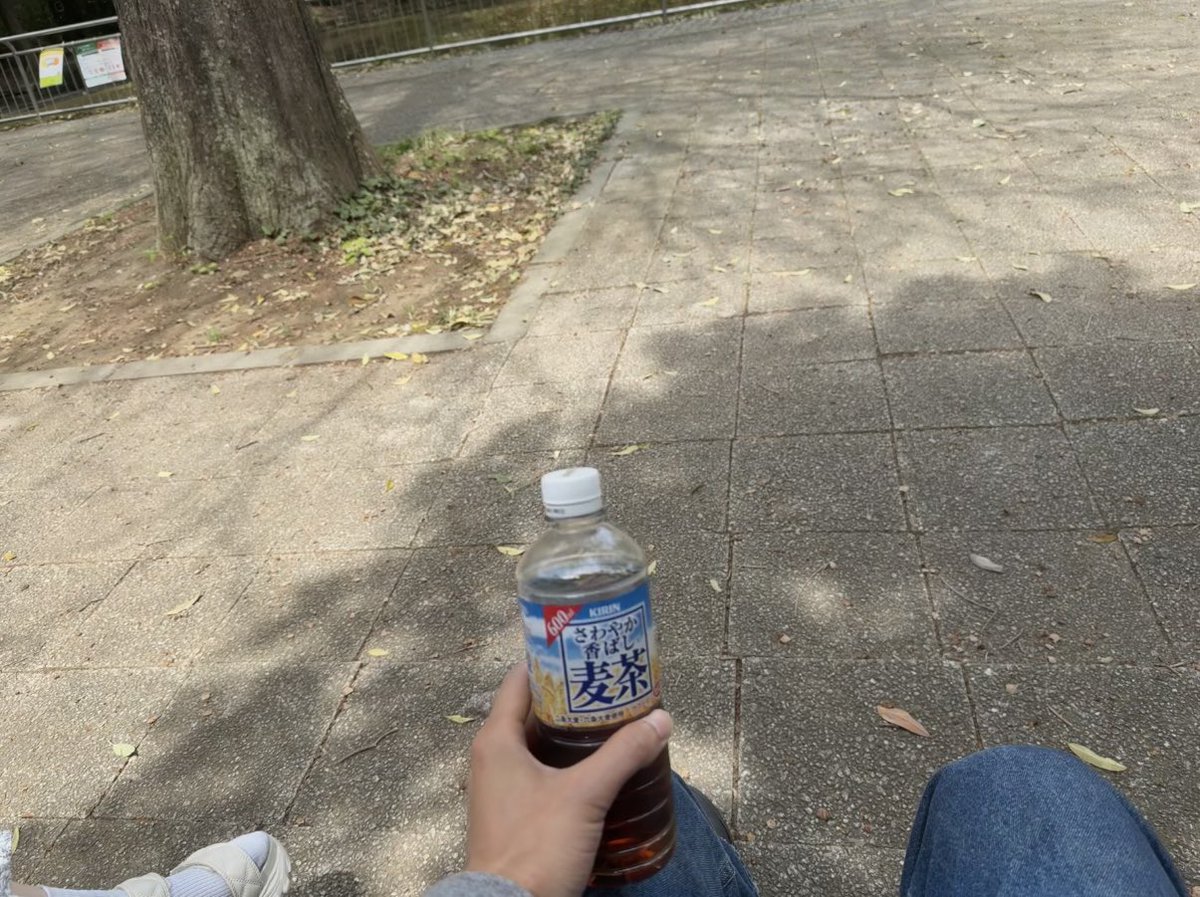 レンタルなんもしない人 tweet media