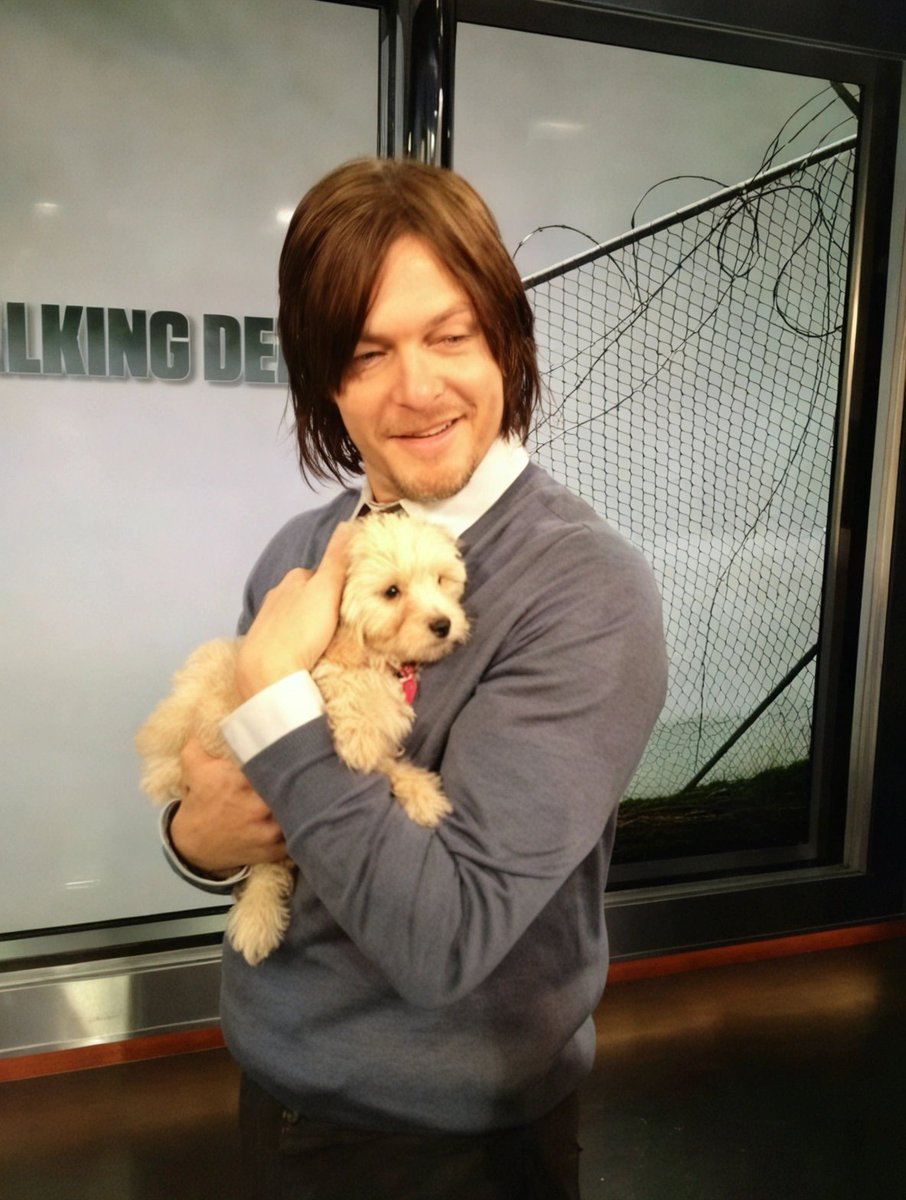 <a href="/wwwbigbaldhead/">norman reedus</a> Norman Reedus... look at this picture with the puppy 😭❤️

Wow, you're so cute holding him like that, smiling like that... and what an absurd beauty, my God. That smile melts anyone's heart.

I love you so much Norman, I'm speechless. Please follow me? I need that